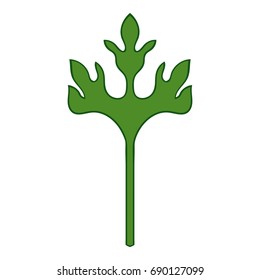 Coriander herb icon. Cartoon illustration of coriander herb vector icon for web design