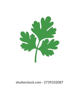 Coriander Herb Icon with Soft Rounded Leaves Vector