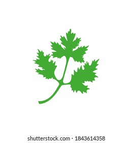 Coriander icon. Green parsley leaves vector illustration isolated on white. Cilantro symbol.