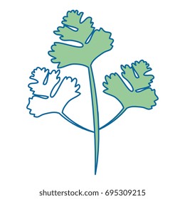 Coriander icon image
