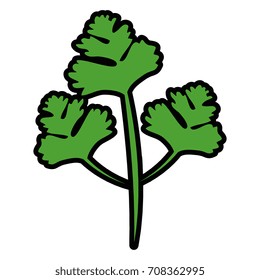 Coriander icon image