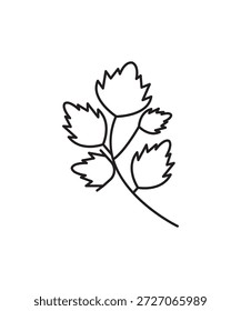 Icono de cilantro, el mejor ícono de línea de Vector.