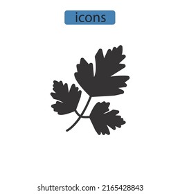 Coriander Icons Symbol Vector Elements Infographic Stock Vector ...