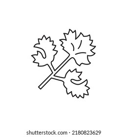 Coriander leaf icon in line style icon, isolated on white background