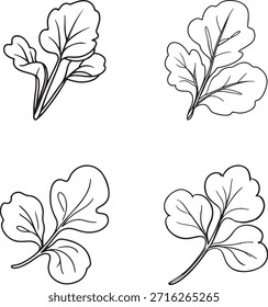 Koriander Blatt Silhouette Vektor Kraut Illustration Set Linie Kunst