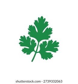 Coriander Leaves Bold Flat Herb Illustration Vector