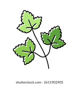 coriander leaves color icon vector. coriander leaves sign. isolated symbol illustration