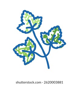 coriander leaves doodle icon sketch vector. coriander leaves sign. isolated symbol illustration