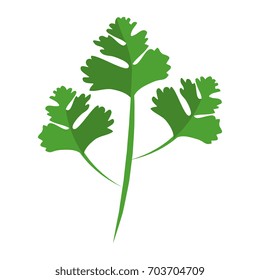 coriander leaves icon