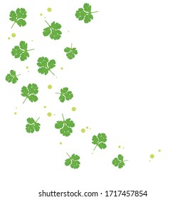 El cilantro deja patrones aislados sobre fondo blanco. hierbas, alimentos sanos, verduras, ilustraciones vectoriales