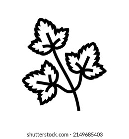 coriander leaves line icon vector. coriander leaves sign. isolated contour symbol black illustration