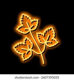 coriander leaves neon light sign vector. coriander leaves illustration