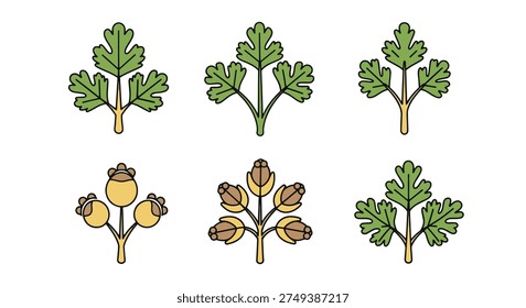 Coriander Line art vector set creative bold style illustration
