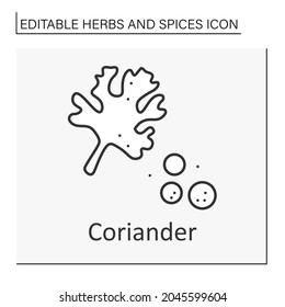 Coriander line icon. Aromatic culinary herb. Chinese parsley. Seasoning for food.Herbs and spices concept. Isolated vector illustration. Editable stroke