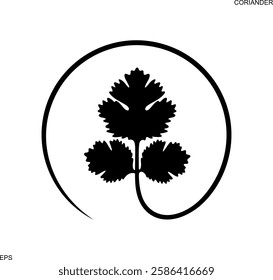 Coriander logo. Isolated coriander on white background