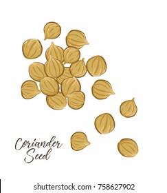 Coriander Seed Vector