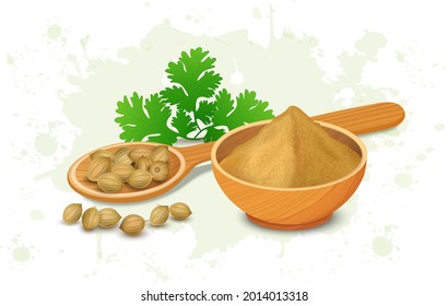 Coriander Seeds and coriander spice powder with green coriander leaves vector illustration