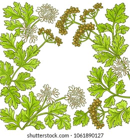 coriander vector frame
