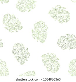Coriander vector hand drawn illustration seamless pattern. Isolated spice object. Engraved style seasoning. Detailed organic product sketch. Cooking flavor ingredient.