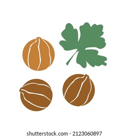 Coriander vector hand drawn illustration. Isolated spice object. Simple icon. Cooking flavor ingredient. Great for label, sign, icon