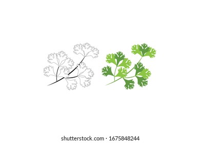 Coriander Vector Illustration Of A Vegetable Bundle