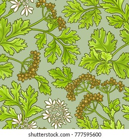 coriander vector pattern