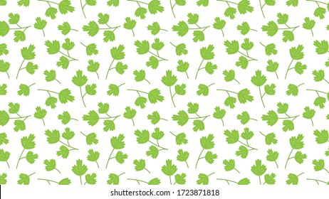 Coriander vector. Coriander pattern wallpaper. Coriander on white background.