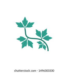 coriender glyph flat vector icon