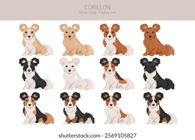 Corillon dog clipart. Welsh Corgi Papillon mix. Different coat colors set.  Vector illustration