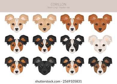 Corillon dog clipart. Welsh Corgi Papillon mix. Different coat colors set.  Vector illustration