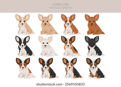 Corillon dog clipart. Welsh Corgi Papillon mix. Different coat colors set.  Vector illustration