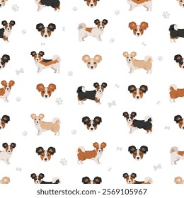 Corillon dog seamless pattern. Welsh Corgi Papillon mix. Different coat colors set.  Vector illustration