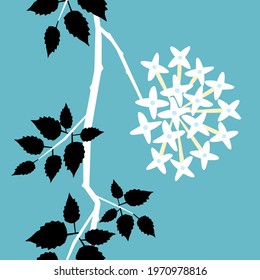 cork tree flower vector abstract Indian cork tree white flora seamless illustration