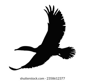 Cormorant bird black silhouette animal. Vector Illustrator.