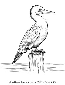 Cormorant bird coloring Page for adults vector illustration