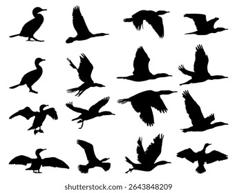Cormorant Bird Illustration Silhouette. Aquatic Seabird Icon, Wildlife and Nature