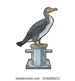 cormorant bird on mooring bollard bitt color sketch engraving vector illustration. T-shirt apparel print design. Scratch board imitation. Black and white hand drawn image.