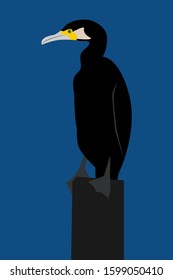 Cormorant bird (Phalacrocorax) on a rock in the sea, isolated. Vector stock illustration.