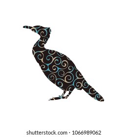 Cormorant bird spiral pattern color silhouette animal.