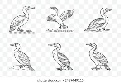 Conjunto de Vector de arte de línea de cormoranes Ilustraciones detalladas de aves de alta calidad para proyectos de Diseño gráfico y arte