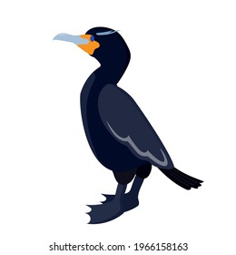 cormorant. sea ​​bird. bird on a white background. stock vector illustration.