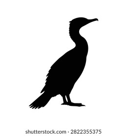 Cormorant silhouette vector flat illustration design.