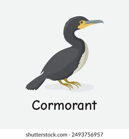 Cormorant Vector Illustration: Black Sea Bird