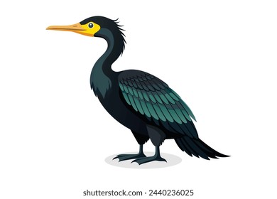 
Cormorants bird isolated flat vector illustration