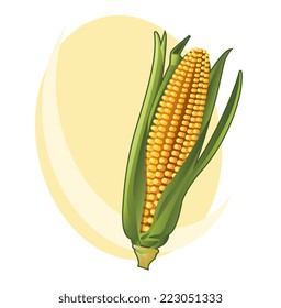 Corn