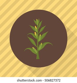 Corn agriculture crop. Color flat icon