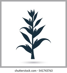 Corn agriculture crop icon. Simple design for web and mobile