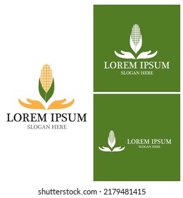 Corn agriculture icon and symbol vector template