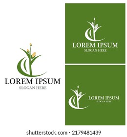 Corn agriculture icon and symbol vector template