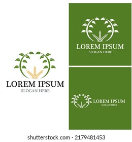 Corn agriculture icon and symbol vector template